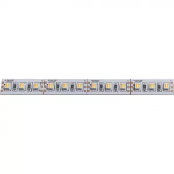 BASIC LED strip Tunable White 12V DC 19,2W/m IP00